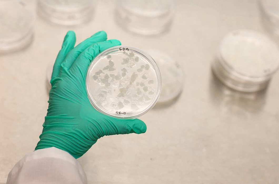 kaeltepunkt-service-hygieneuntersuchung-vdi6022